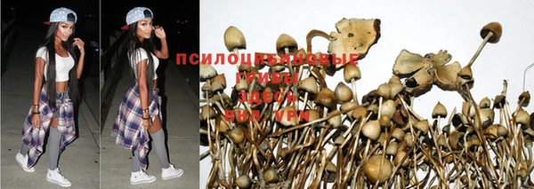 ALPHA PVP Абинск
